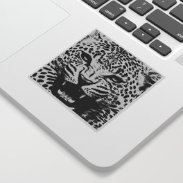 Wild Leopard Sticker