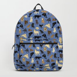 Lotsa Labs on Blue Backpack