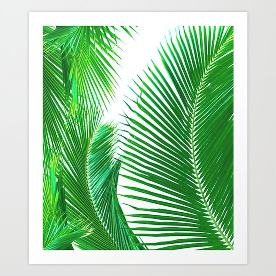 ARECALES II Art Print