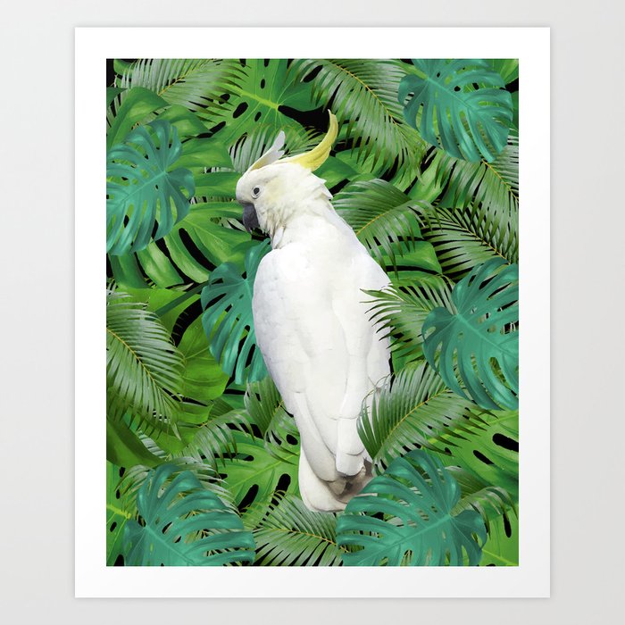Cockatoo Parrot - Jungle Monstera Palm Leaves Art Print