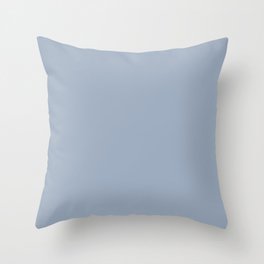 Mist Blue Throw Pillow