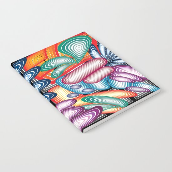UNIT 13 Notebook