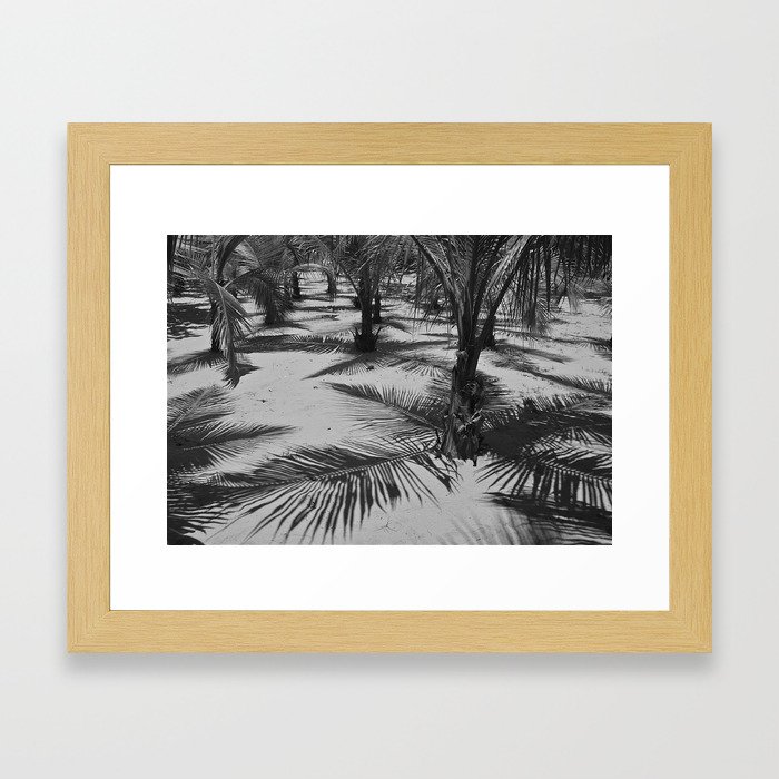 Palm Shades Framed Art Print