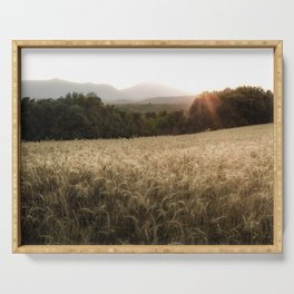 Beautiful corn landscape during the golden hour in Catalunya! Serving Tray