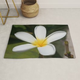 Receiver Rugs