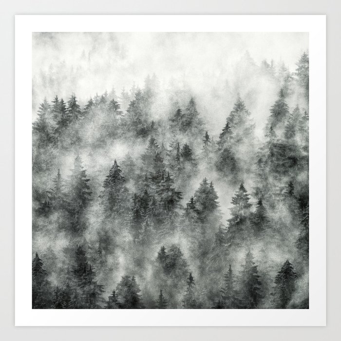 Everyday // Misty Foggy Moody Wild Fairytale Cascadia Trees Dark Forest Covered In Magic Fog Series Art Print