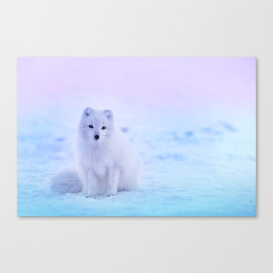 American Eskimo Dog Canvas Print