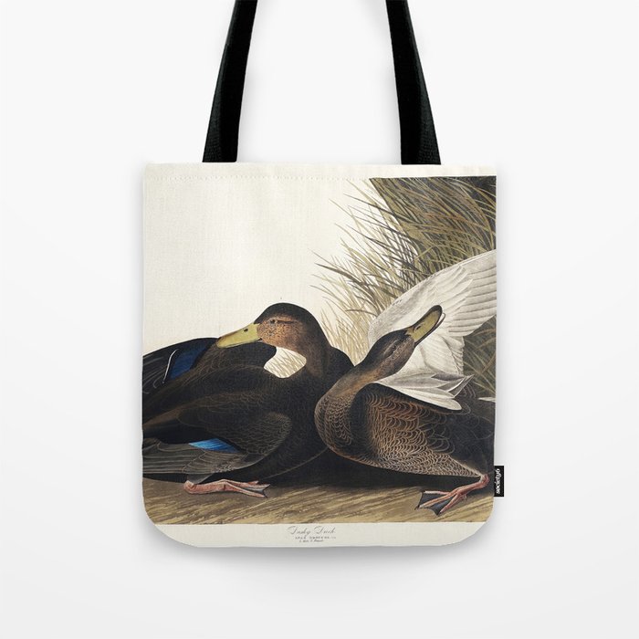 Dusky Duck from Birds of America (1827) by John James Audubon, etched by William Home Lizars.  Tote Bag