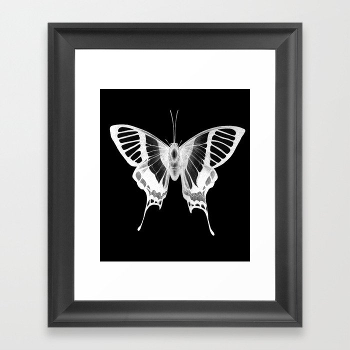 Butterfly's Ghost Framed Art Print