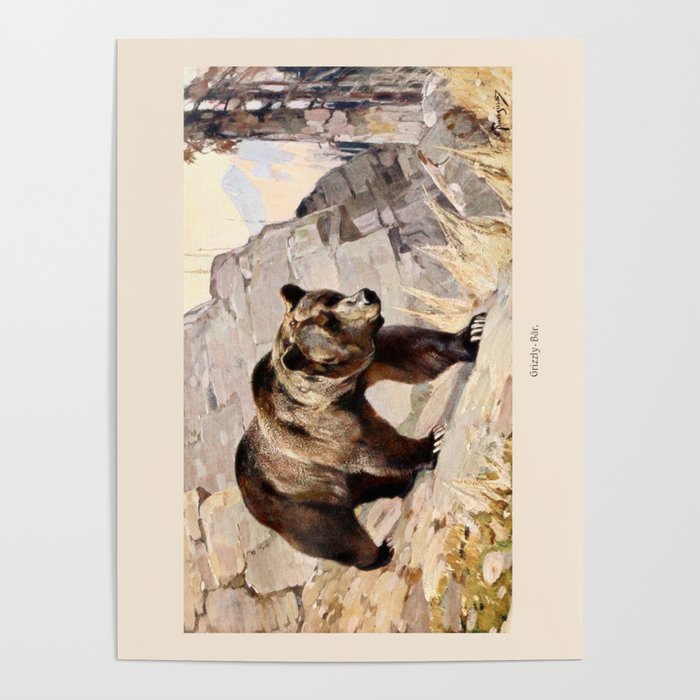 Grizzly Bear Poster