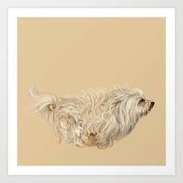 Havanese Collectible 4 x 6 Dog Pop Art Print Signed by Artist KSams Dog HoardsTP