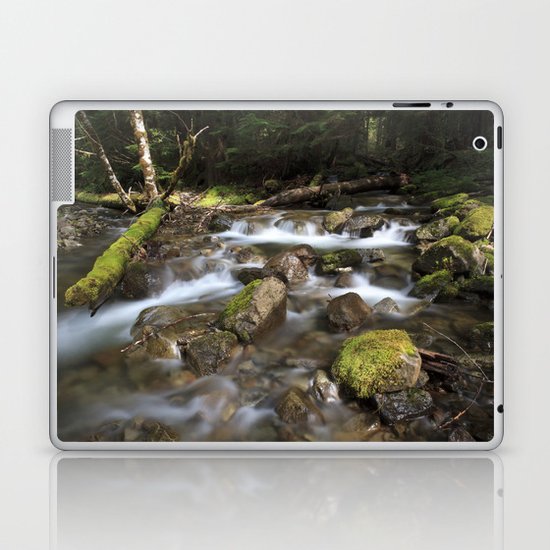 Paradise Creek I Laptop & iPad Skin