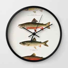 Illustrated North American Freshwater Trout Game Fish Identification Chart Wall Clock