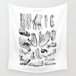 Primate Hands and Feet Wall Tapestry