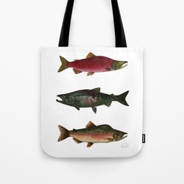 Three West Coast Salmon - Sockeye, Chum, and Pink Tote Bag