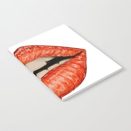 lips with teeth mouth with woman Notebook