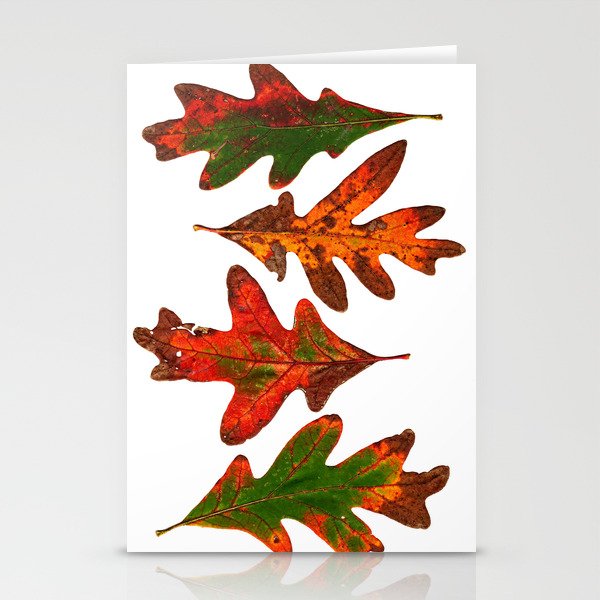 Fall Leaves Mother Nature Stationery Cards