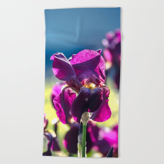 Irises Beach Towel