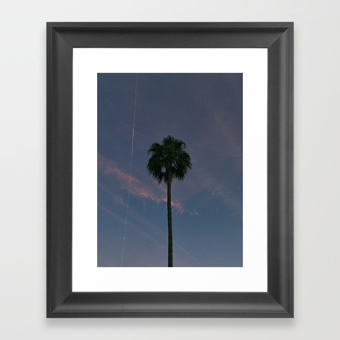 palm tree in california iii, in december Framed Art Print