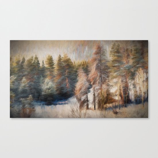 Terra Incognita Canvas Print