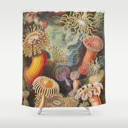 Ernst Haeckel Sea Anemones Vintage Illustration Shower Curtain