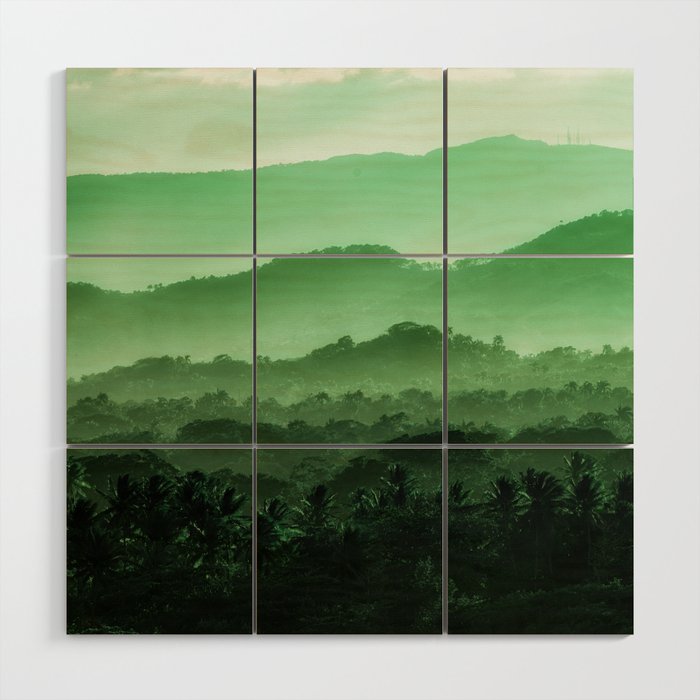 Tropical Mountain 4 Wood Wall Art