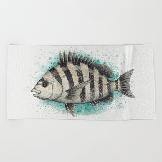 "Sheepshead Splash" by Amber Marine ~ Watercolor Fish Painting (c) 2016 Beach Towel