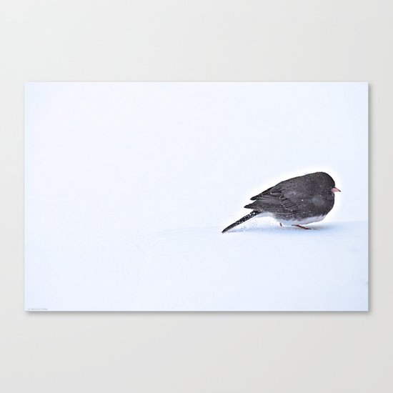 Long Journey Junco Canvas Print