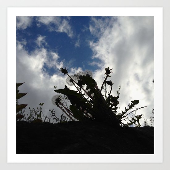 Eyes skywards Art Print