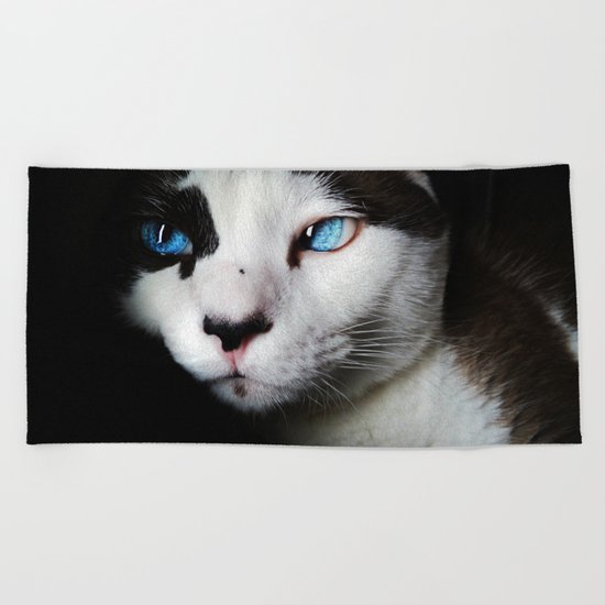 Cat siamese blue eyes Beach Towel