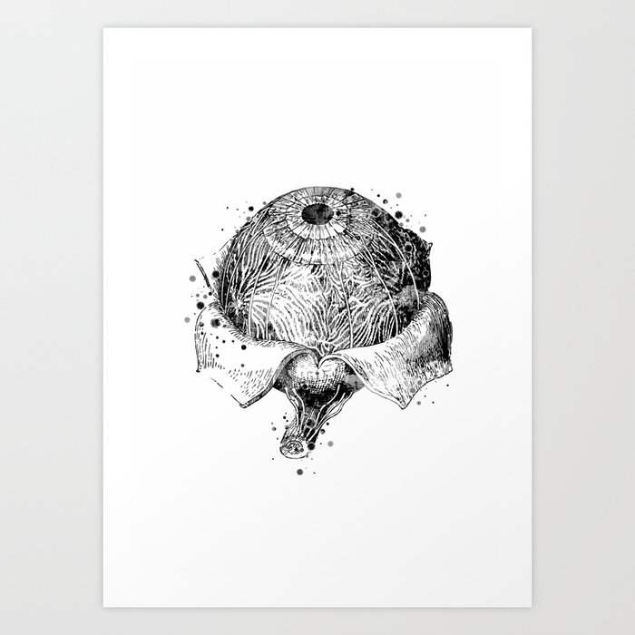 Eye cheap anatomy drawing