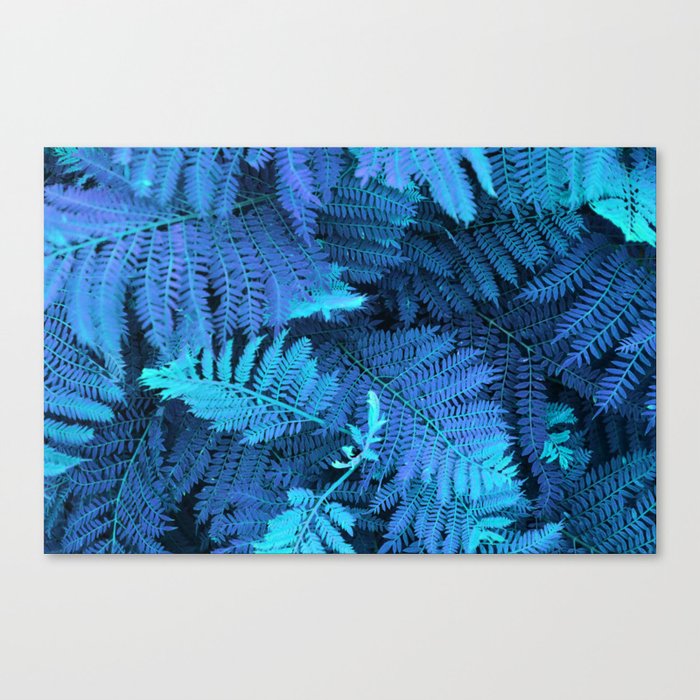 Crazy colored nature serie: blue fern leaves Canvas Print