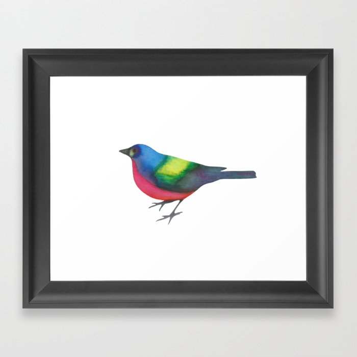 Painted Painted Bunting Framed Art Print