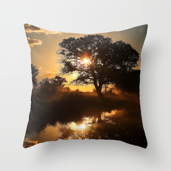 Searching for Life.. Throw Pillow