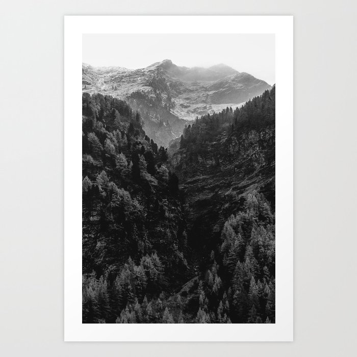 Pine Tree Forest Black and White Art Print