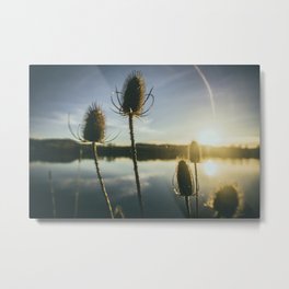 Vernonia Metal Print | Adventure, Sun, Color, Explore, Pnw, Sunset, Lake, Nature, Pond, Photo 