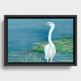 Great White Heron  Framed Canvas