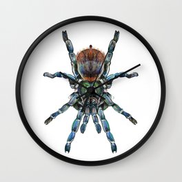 BottleGreen Blue Tarantula Wall Clock | Etymology, Colorfulspider, Spider, Eden, Spiderlovers, Digital, Arteden, Edenelwell, Artwork, Tarantula 