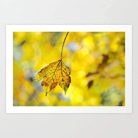 Yellow leave in yellow bokeh Art Print