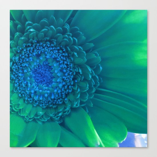 To Be a Different Kind of Flower Canvas Print