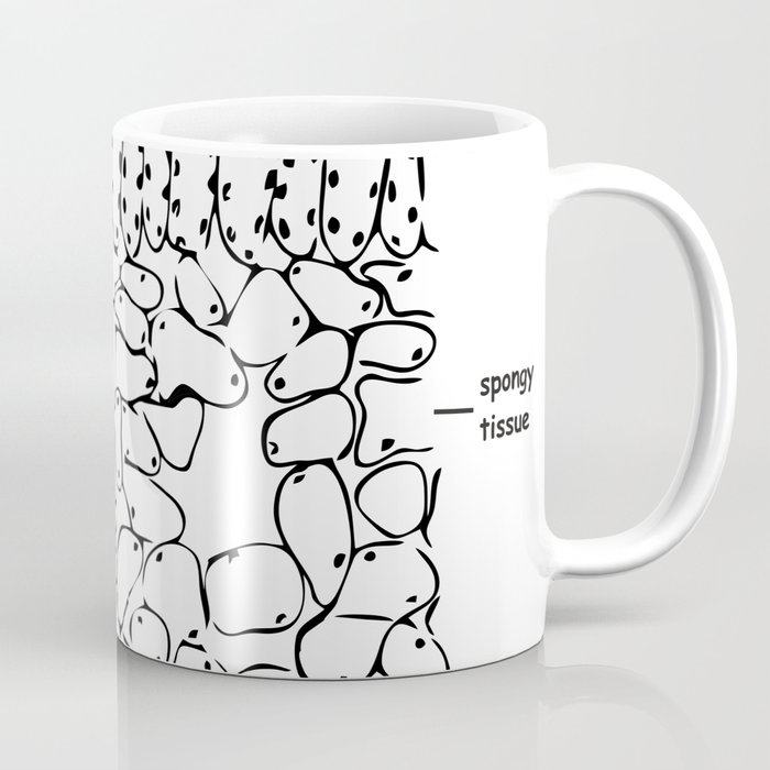 Histology - Leaf cross section Coffee Mug