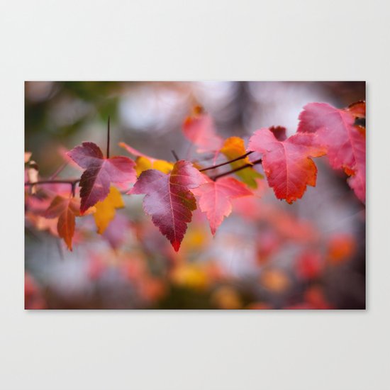 Red Canvas Print