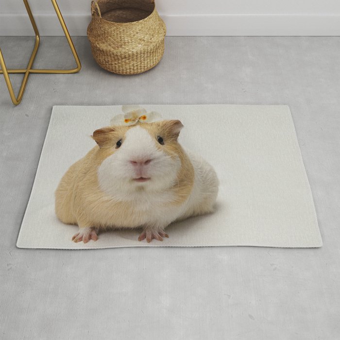 Guinea pig rug sale