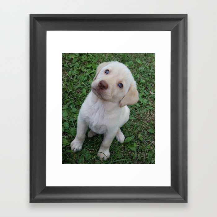 Cutie Pie yellow Lab puppy Framed Art Print