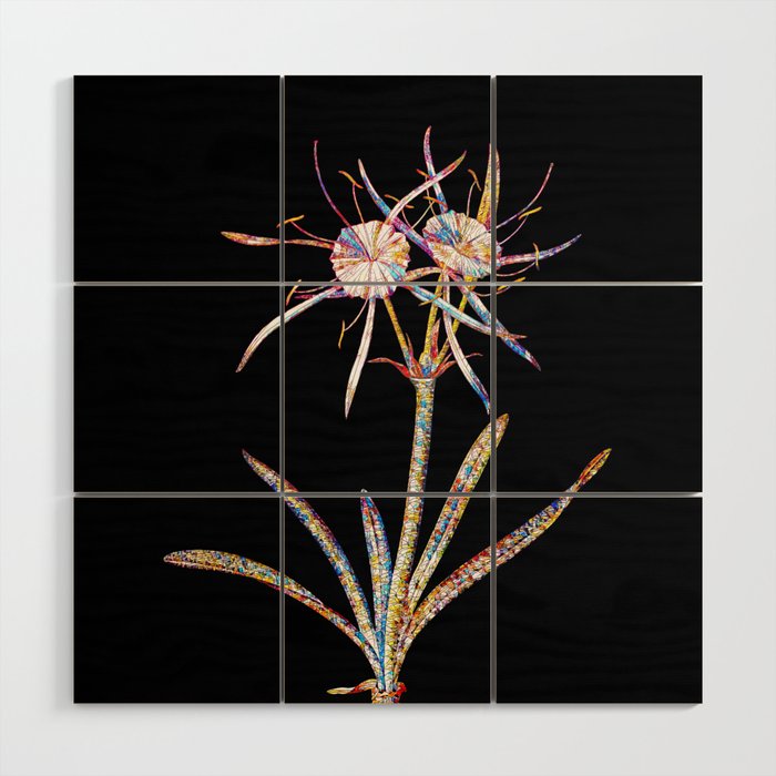 Floral Streambank Spiderlily Mosaic on Black Wood Wall Art