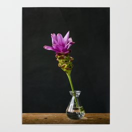 Photo print of beautiful pink flower in glass vase on wood against a dark background Poster