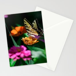 Beautiful Butterfly Stationery Cards