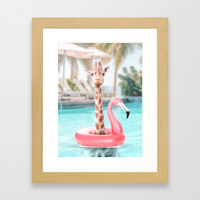 Giraffe in a swimming pool Framed Art Print