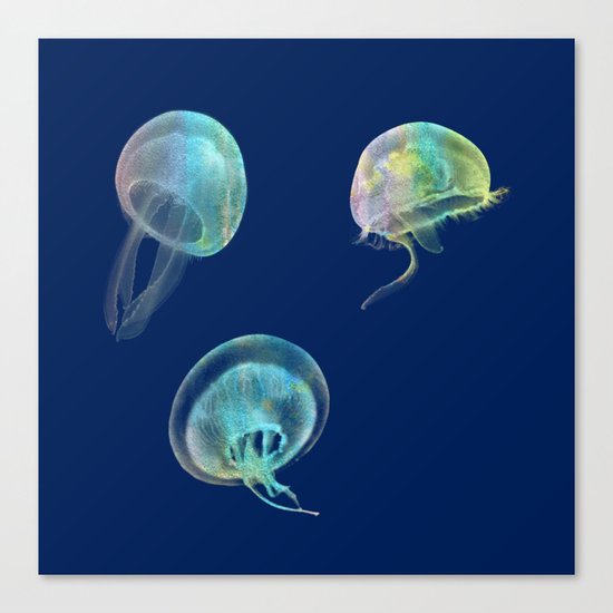 Jellyfish Canvas Print