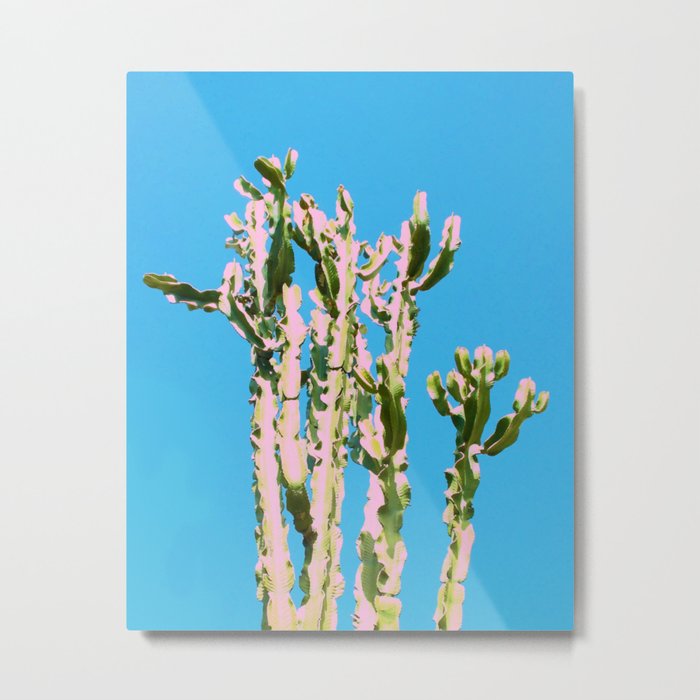 Cactus Beauty #cactus #society6 #decor #buyart Metal Print